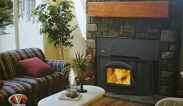 Fireplace insert From Chimney Care Plus