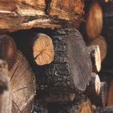 firewood-image2