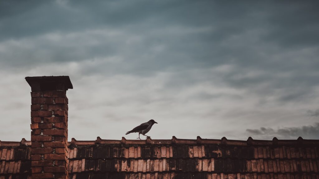 Raven on Rooftop Near a Chimney