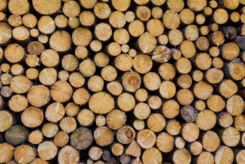 Wall of Logs Ready for Fire