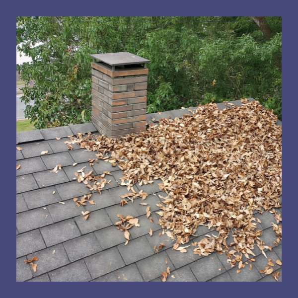 image of a roof with debris
