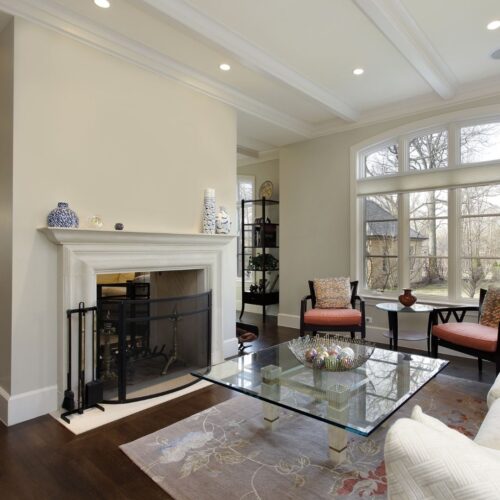 fireplace in living room that is currently not in use