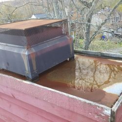 20160408-080355-resized-2-1140x641-160909-57d32ce3e7c83-250x250-5f47028aa327d